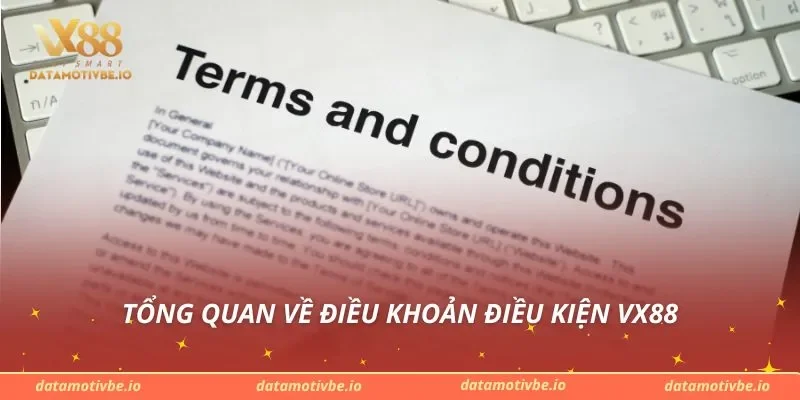 Tổng quan về điều khoản điều kiện VX88
