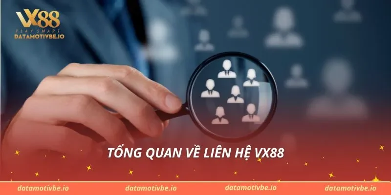 Tổng quan về liên hệ VX88