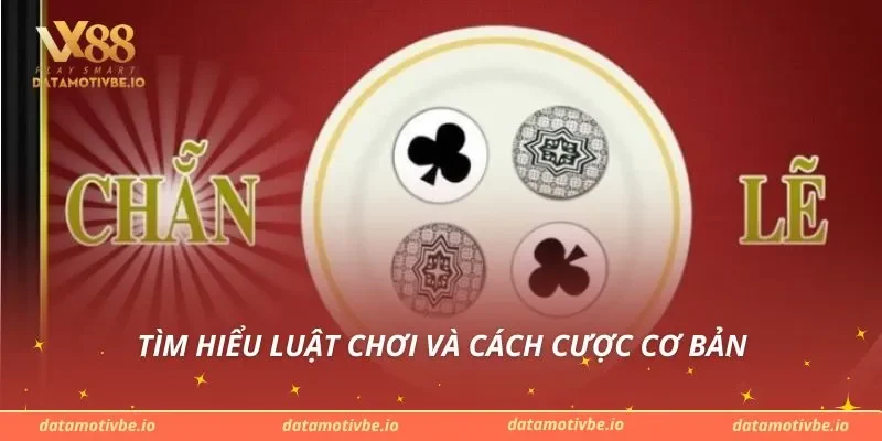 Tìm hiểu luật chơi và cách cược cơ bản